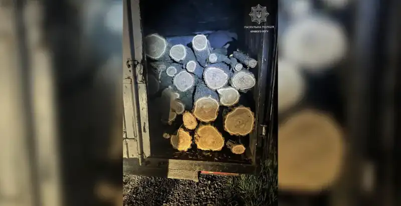 У Кривому Розі водія ГАЗу затримали за перевезення дров без документів У Кривому Розі водія ГАЗу затримали за перевезення дров без документів