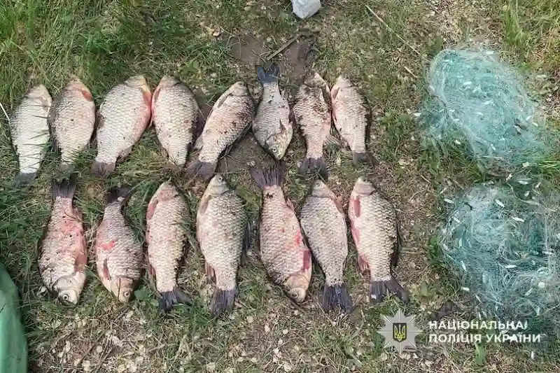 У Кривому Розі затримали чоловіка, який під час нересту виловив 20 кг риби сіткою У Кривому Розі затримали чоловіка, який під час нересту виловив 20 кг риби сіткою