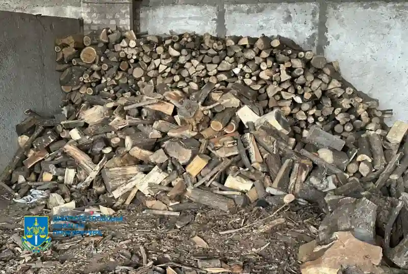 На Дніпропетровщині викрито групу «чорних лісорубів», організовану місцевим депутатом На Дніпропетровщині викрито групу «чорних лісорубів», організовану місцевим депутатом